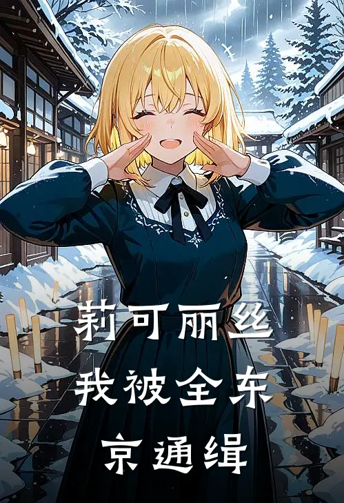 莉可丽丝，我被全东京通缉