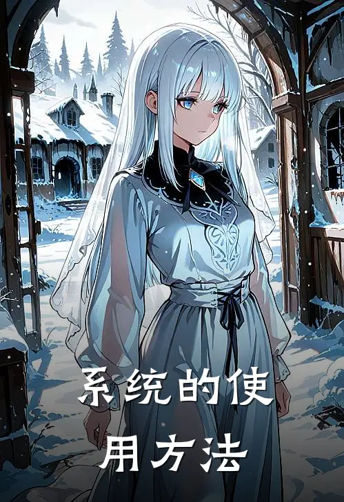 系统的使用方法