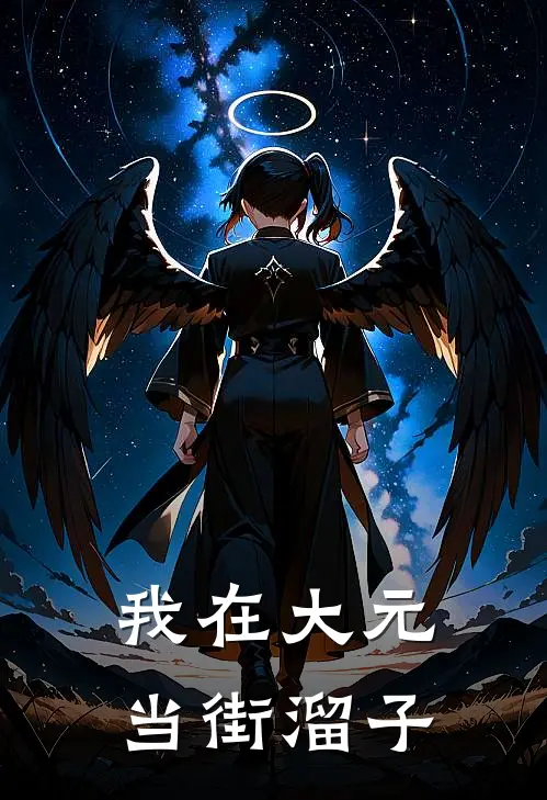 我在大元当街溜子