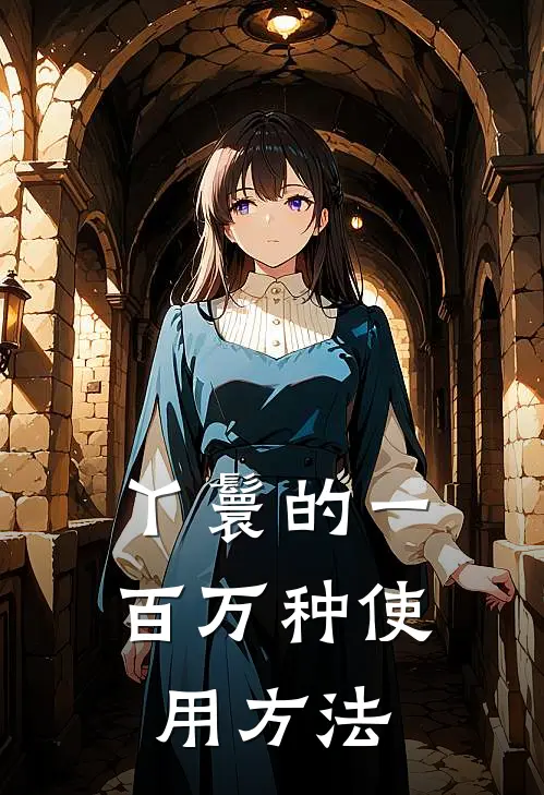 丫鬟的一百万种使用方法